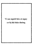 Vì sao người béo có nguy cơ bị đái tháo đường