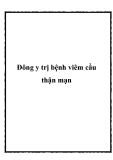 Đông y trị bệnh viêm cầu thận mạn