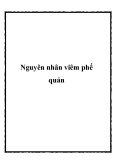 Nguyên nhân viêm phế quản