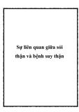 Sự liên quan giữa sỏi thận và bệnh suy thận