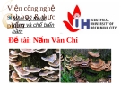 Đề tài: Nấm Vân Chi