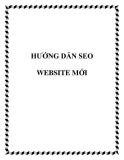 HƯỚNG DẪN SEO WEBSITE MỚI