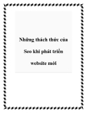 Những thách thức của Seo khi phát triển website mới