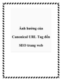 Ảnh hưởng của Canonical URL Tag đến SEO trang web