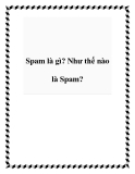 Spam là gì? Như thế nào là Spam?