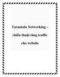 Tarantula Networking – chiến thuật tăng traffic cho website
