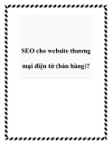 SEO cho website thương mại điện tử (bán hàng)?