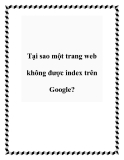 Tại sao một trang web không được index trên Google?