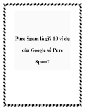 Pure Spam là gì? 10 ví dụ của Google về Pure Spam?