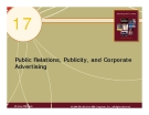 Chapter 17: Public Relations, Publicity, and Corporate Advertising