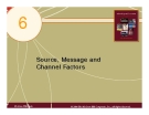 Chapter 6 Source, Message and Channel Factors