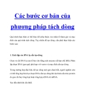 Các bước cơ bản của phương pháp tách dòng