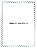 Câu đảo ngữ trong tiếng anh