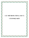 CÁC THÌ TRONG TIẾNG ANH VÀ CÁCH NHẬN BIẾT