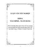 Luận văn: Giải pháp phòng ngừa và hạn chế rủi ro tín dụng trong hoạt động kinh doanh tại ngân hàng TMCP Việt Nam Thịnh Vượng (VPBank) chi nhánh Thanh Hoá