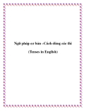 Ngữ pháp cơ bản –Động từ (Verbs)