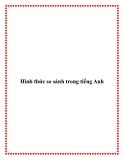 Hình thức so sánh trong tiếng Anh