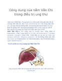 Công dụng của nấm Vân Chi trong điều trị ung thư