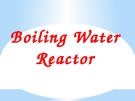 Boiling Water Reactor