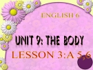 Bài giảng Tiếng Anh 6 unit 9: The body