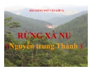 Bài giảng Ngữ văn 12 tuần 22 bài: Rừng xà nu