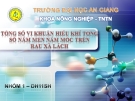 Tổng số vi khuẩn hiếu khí tổng  số nấm men nấm mốc trên  rau xà lách