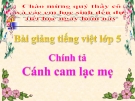 Bài giảng Tiếng việt 5 tuần 20 bài: Cánh cam lạc mẹ