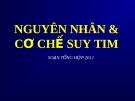 Nguyên nhân và cơ chế suy tim