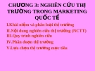 Bài giảng môn marketing toàn cầu của ThS. Trần Hải Ly - Chương 3