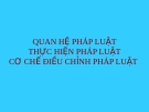 Bài giảng quang hệ pháp luật thực hiện pháp luật cơ chế điều chỉnh pháp luật