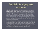 Cơ chế tác dụng của enzyme