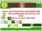 Nghiên cứu kỹ thuật nhân nhanh giống chuối Laba    bằng phương pháp nuôi cấy mô và kỹ thuật chăm sóc cây con ngoài vườn ươm