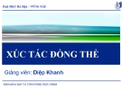 Xúc tác đồng thể - Trường đại học Bà Rịa Vũng Tàu