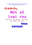 Kỹ thuật trồng một số loại rau dưa hấu, rau muống, cải ngọt, cải xanh, cải thìa theo VIETGAP