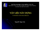 Bài giảng vật liệu xây dựng - chương 9  Nguyễn Ngọc Hưng