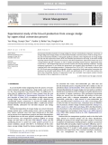 Experimental study of the bio-oil production from sewage sludge by supercritical conversion process