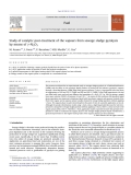 Study of catalytic post-treatment of the vapours from sewage sludge pyrolysis by means of c-Al2O3