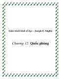 Giáo trình kinh tế học công cộng (Joseph E. Stiglitz)  Chương 12: Quốc phòng 