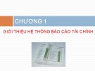 Bài giảng Phân tích báo cáo Tài chính doanh nghiệp - Chương 1