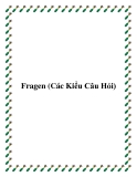 Fragen (Các Kiểu Câu Hỏi)