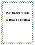 [Gr] Haben vs Sein (2 Động Từ Cơ Bản)