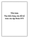 Tiểu luận Tìm hiểu bảng cân đối kế toán của tập Đoàn FPT