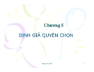 Bài giảng Công cụ tài chính phái sinh (ĐHKT Đà Nẵng) - Chương 5