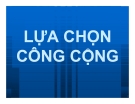 Bài giảng kinh tế học công cộng: Lựa chọn công cộng (mới) - ThS. Hoàng Trung Dũng