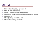 Đánh giá dạy học