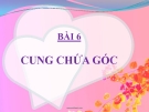 Bài giảng Hình học 9 chương 3 bài 6: Cung chứa góc hay nhất