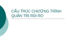 Cấu trúc chương trình quản trị rủi ro