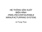 HỆ THỐNG SẢN XUẤT BIẾN HÌNH 