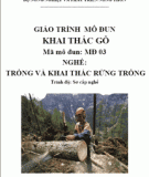 Giáo trình khai thác gỗ - Nguyễn Sỹ Quỳ