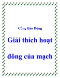 Cổng Báo Động